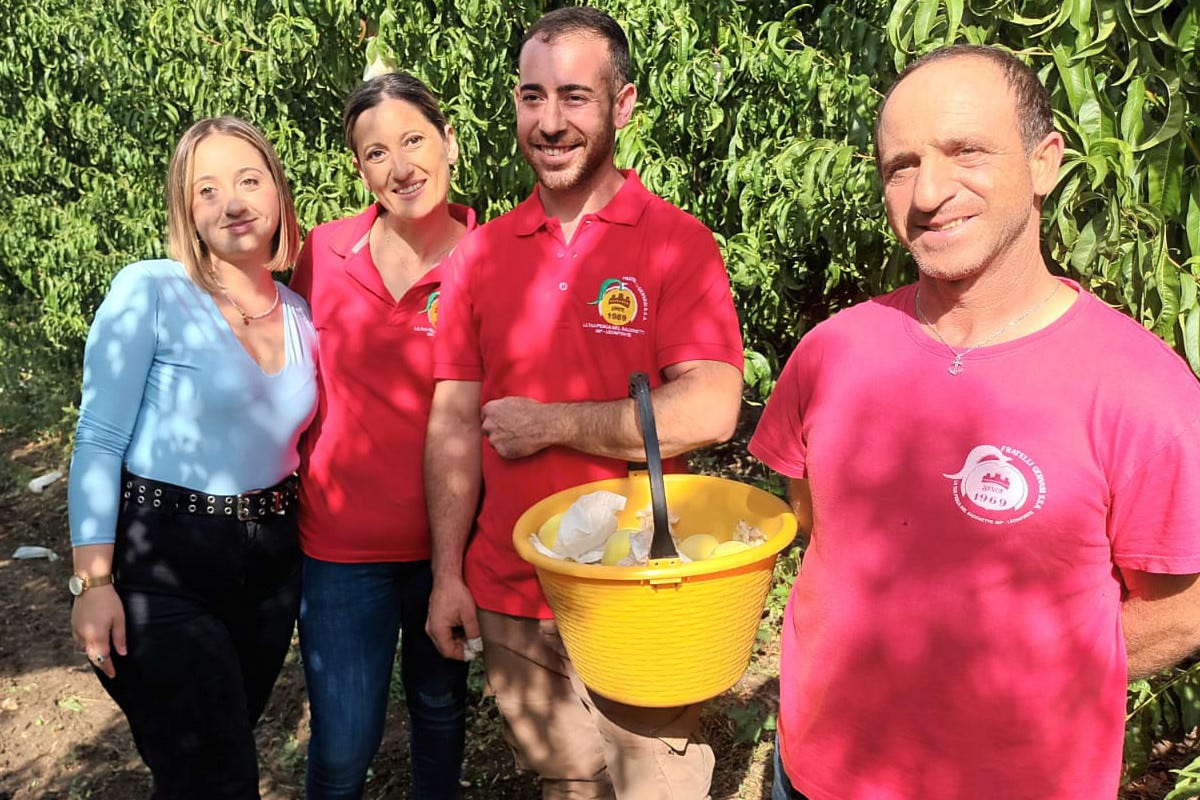 L'azienda Fratelli Gervasi alla raccolta La Pesca di Leonforte Igp, gusto dolce di Sicilia da rilanciare