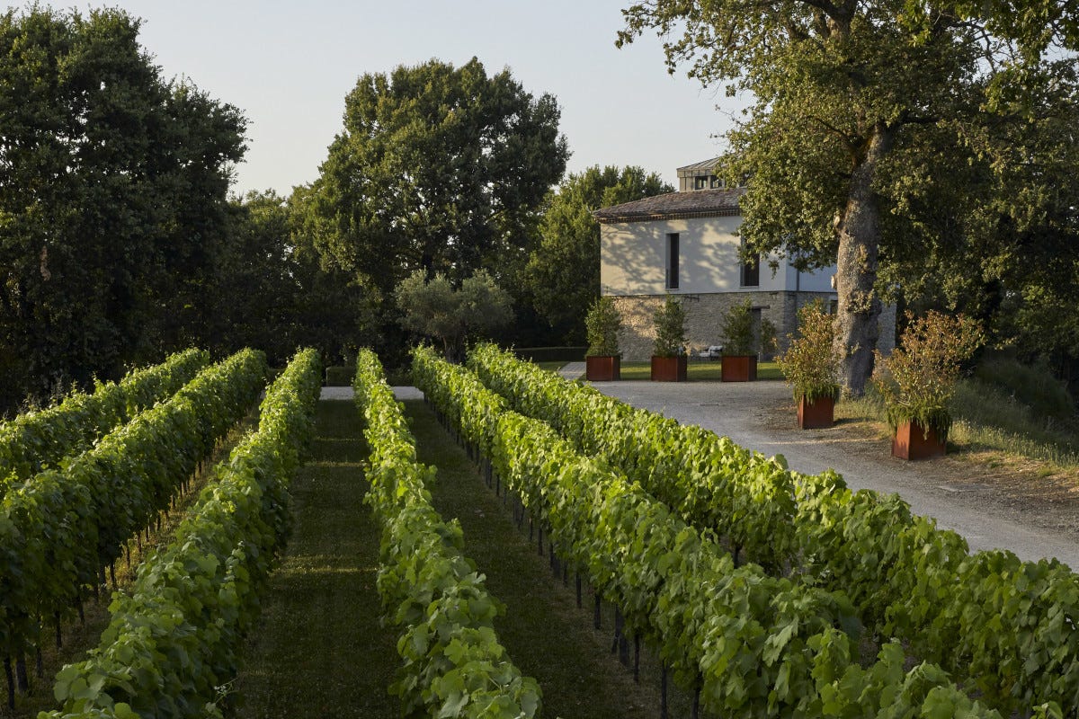 Vivere la magia dell'autunno nei wine resort di Les Collectionneurs