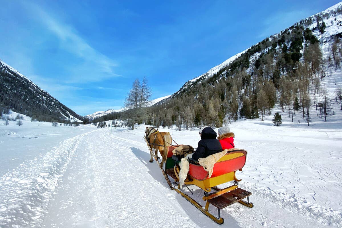 Con la slitta trainata dai cavalli tra le nevi di Livigno Terme, avventure e passeggiate: com'è romantica la Valtellina a San Valentino