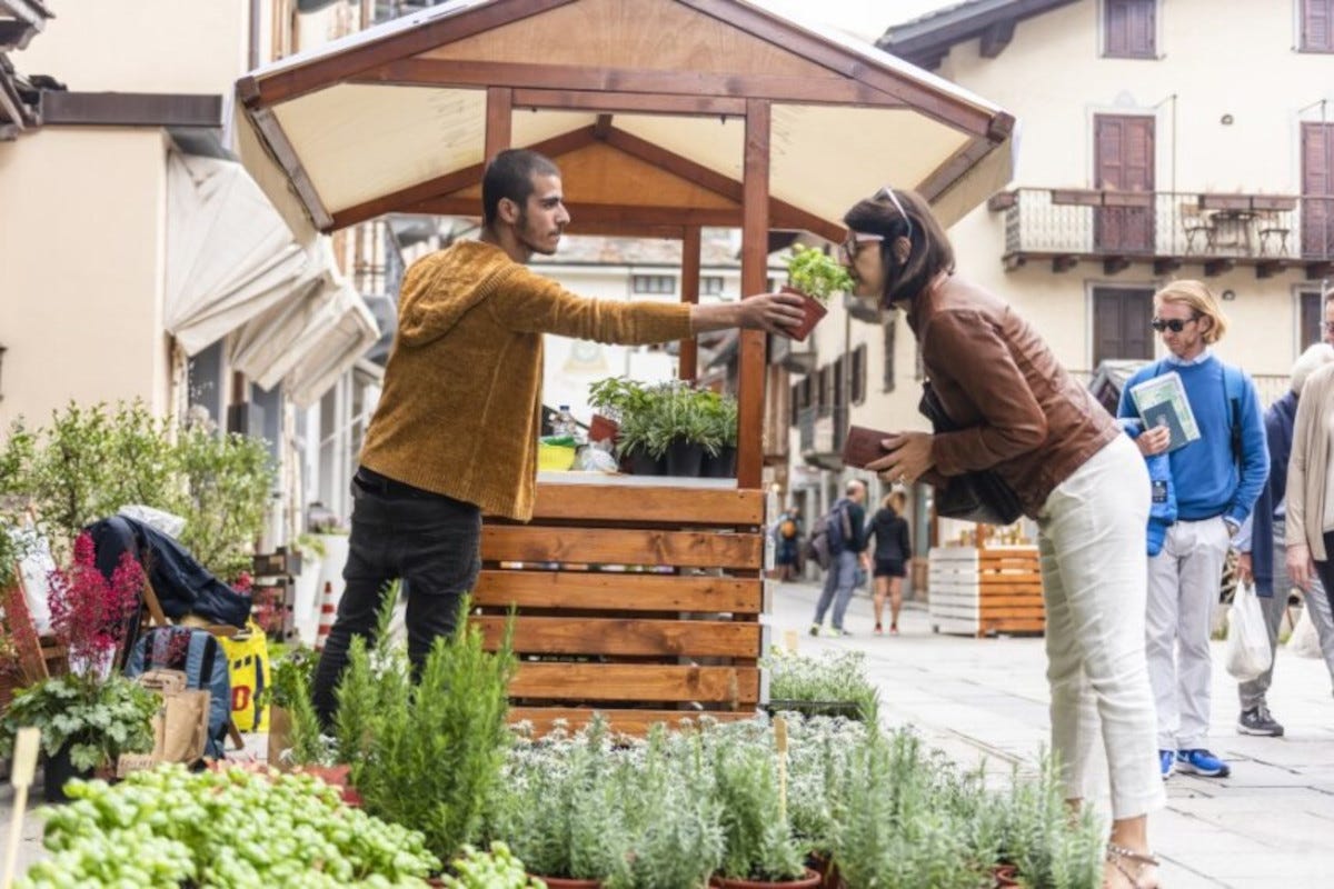Lo Matsòn: il mercato della Valle d'Aosta in formato “merenda”