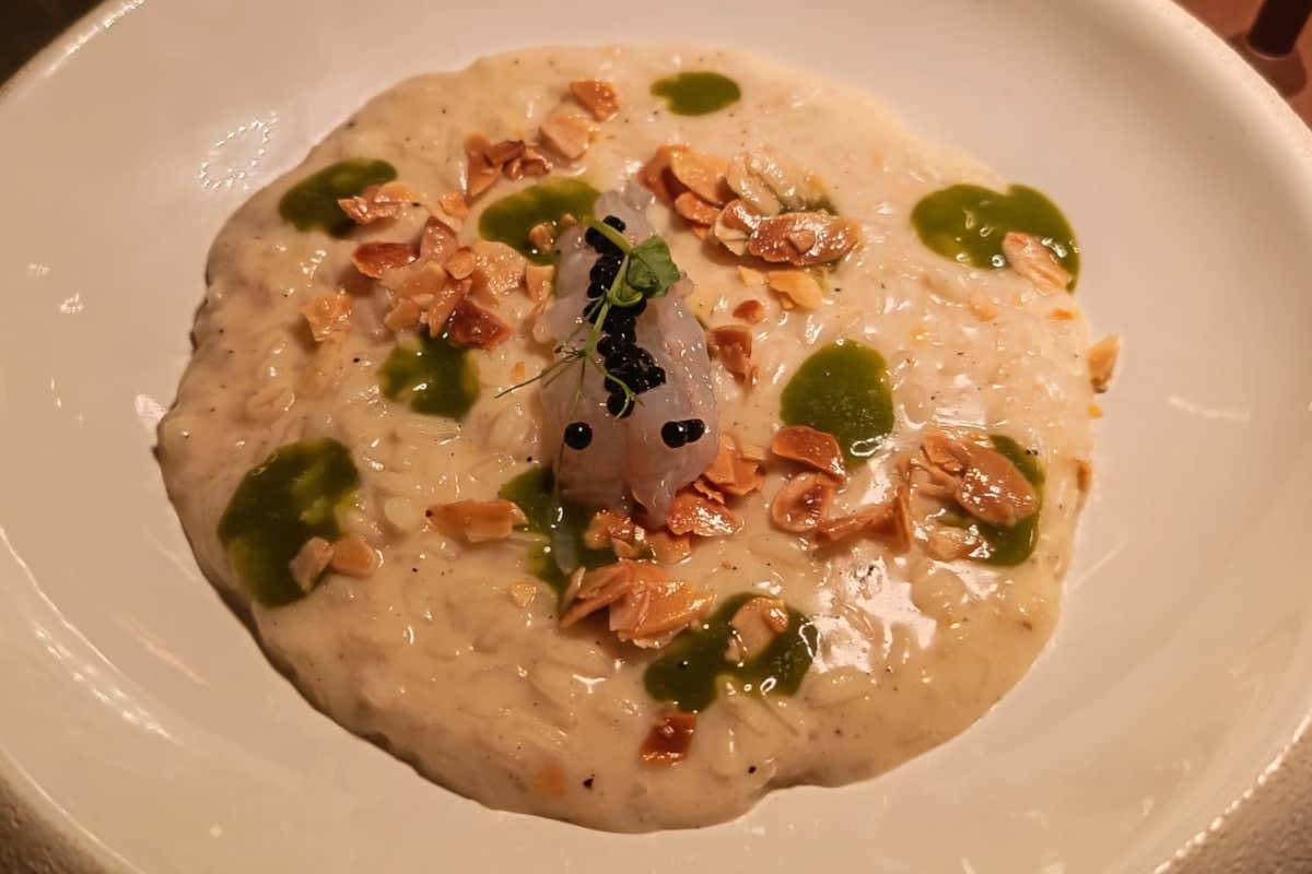 Due cucine, un palcoscenico: viaggio sensoriale in una cena milanese a 4 mani