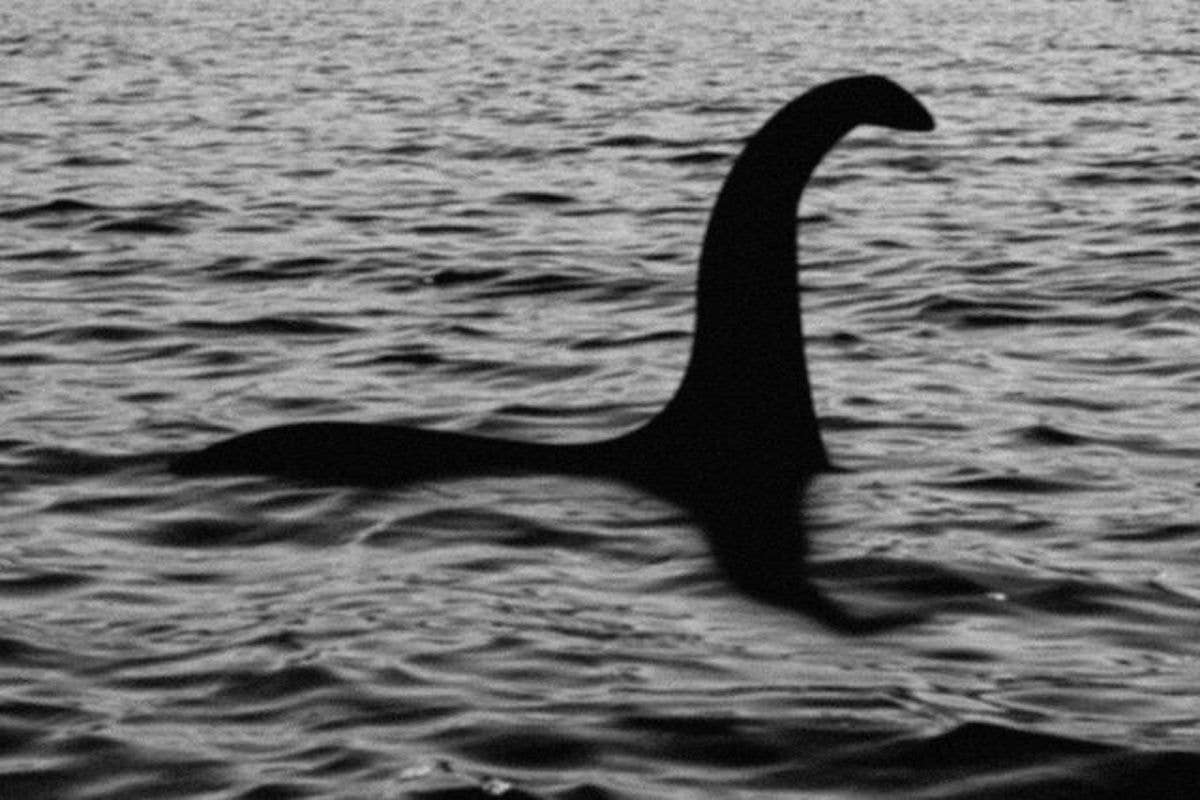 Il mostro di Loch-Ness rialza la testa per le foto dei turisti… a pagamento