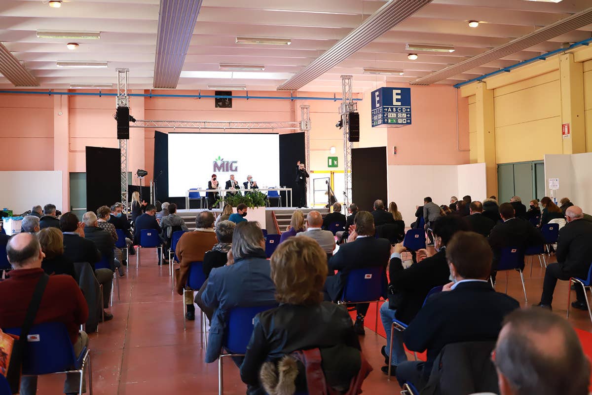 Longarone fiere Dolomiti detta la linea della ripartenza