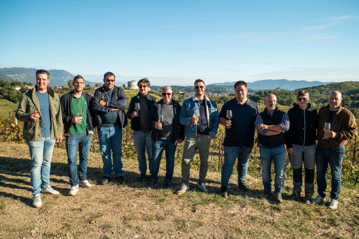 La prima Banca di un vitigno è firmata Ribolla di Oslavia La prima Banca di un vitigno è firmata Ribolla di Oslavia