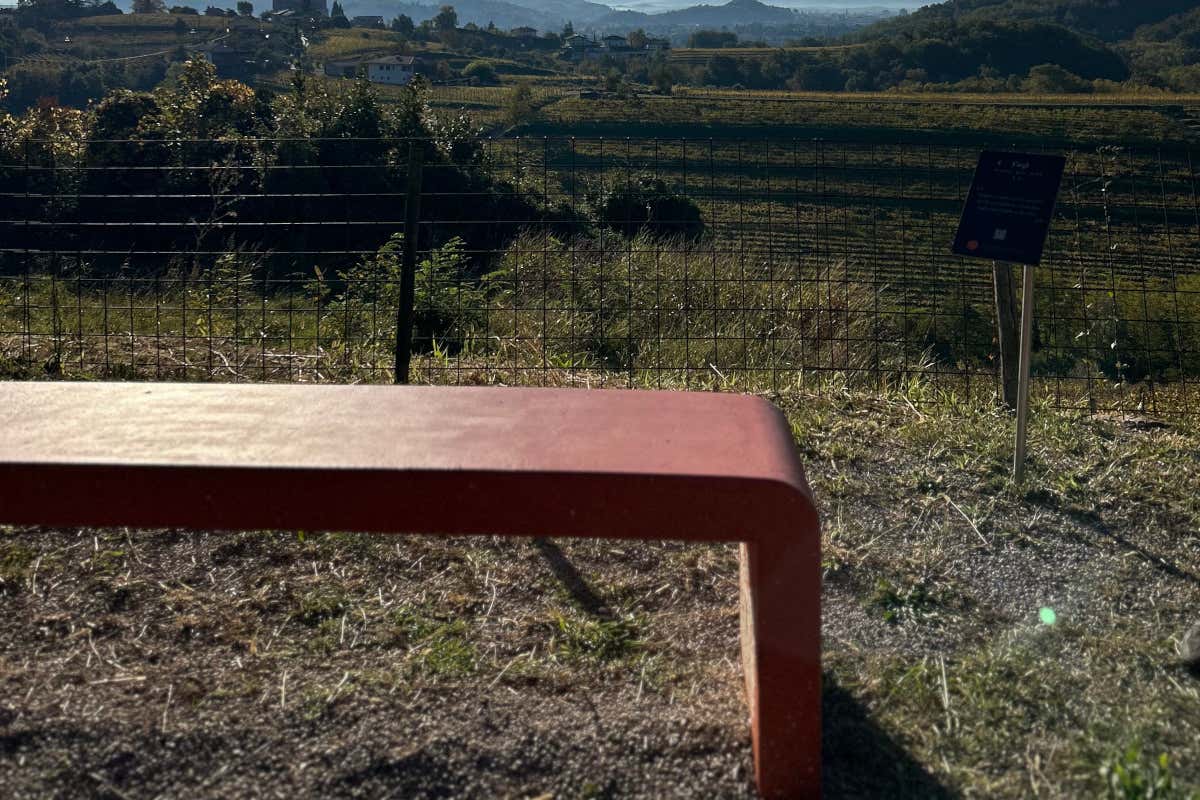 La prima Banca di un vitigno è firmata Ribolla di Oslavia La prima Banca di un vitigno è firmata Ribolla di Oslavia