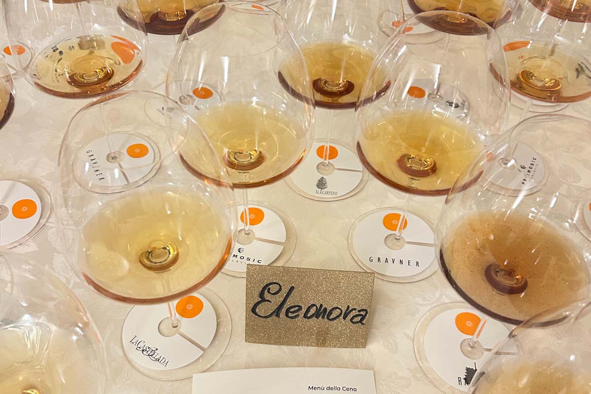 La prima Banca di un vitigno è firmata Ribolla di Oslavia La prima Banca di un vitigno è firmata Ribolla di Oslavia