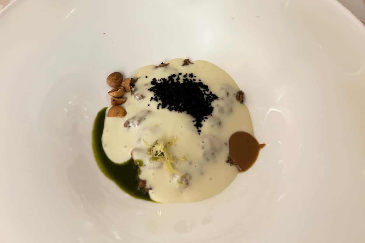 La prima Banca di un vitigno è firmata Ribolla di Oslavia La prima Banca di un vitigno è firmata Ribolla di Oslavia