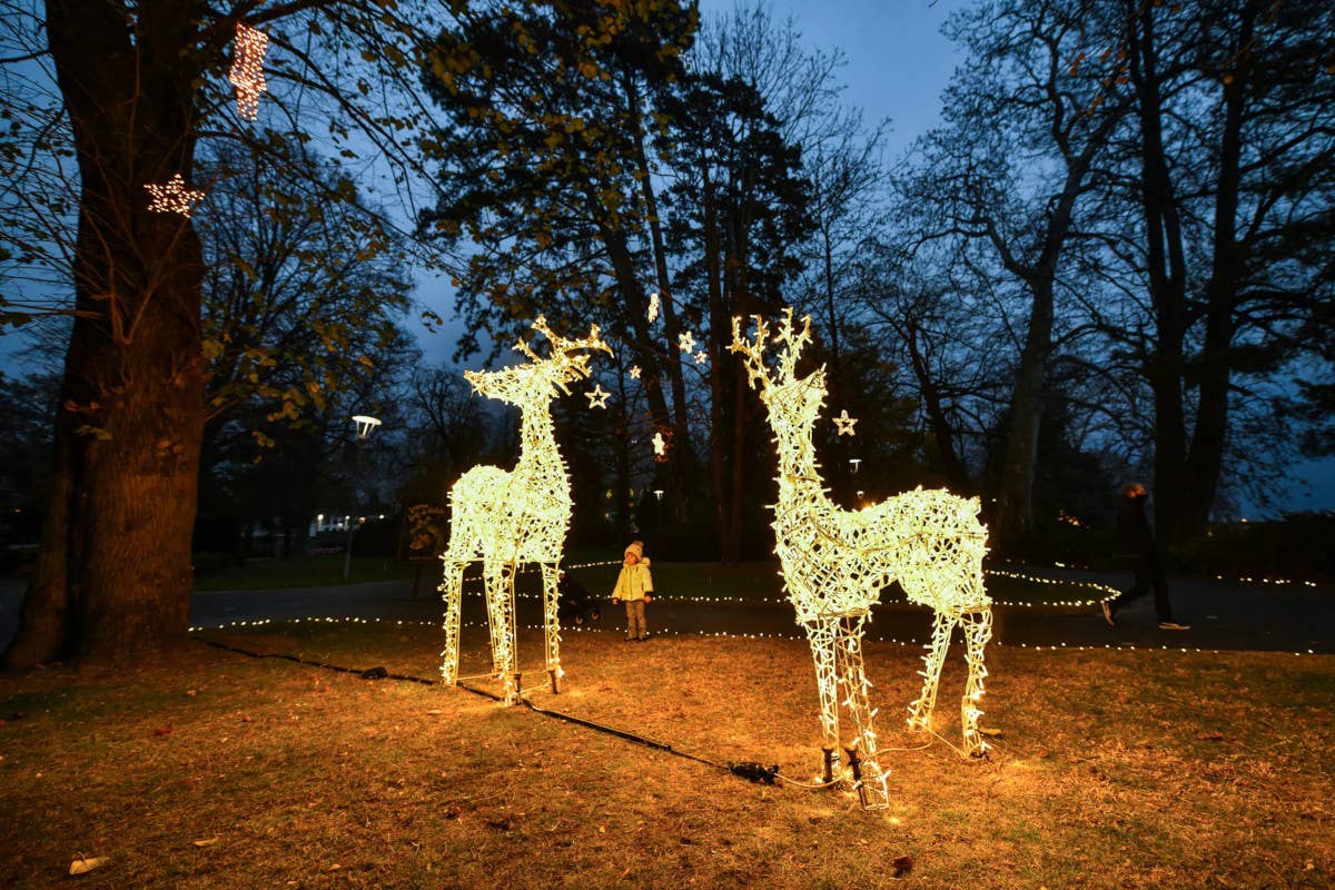 Il Parco Ciani di Lugano Cosa fare in inverno a Lugano e dintorni