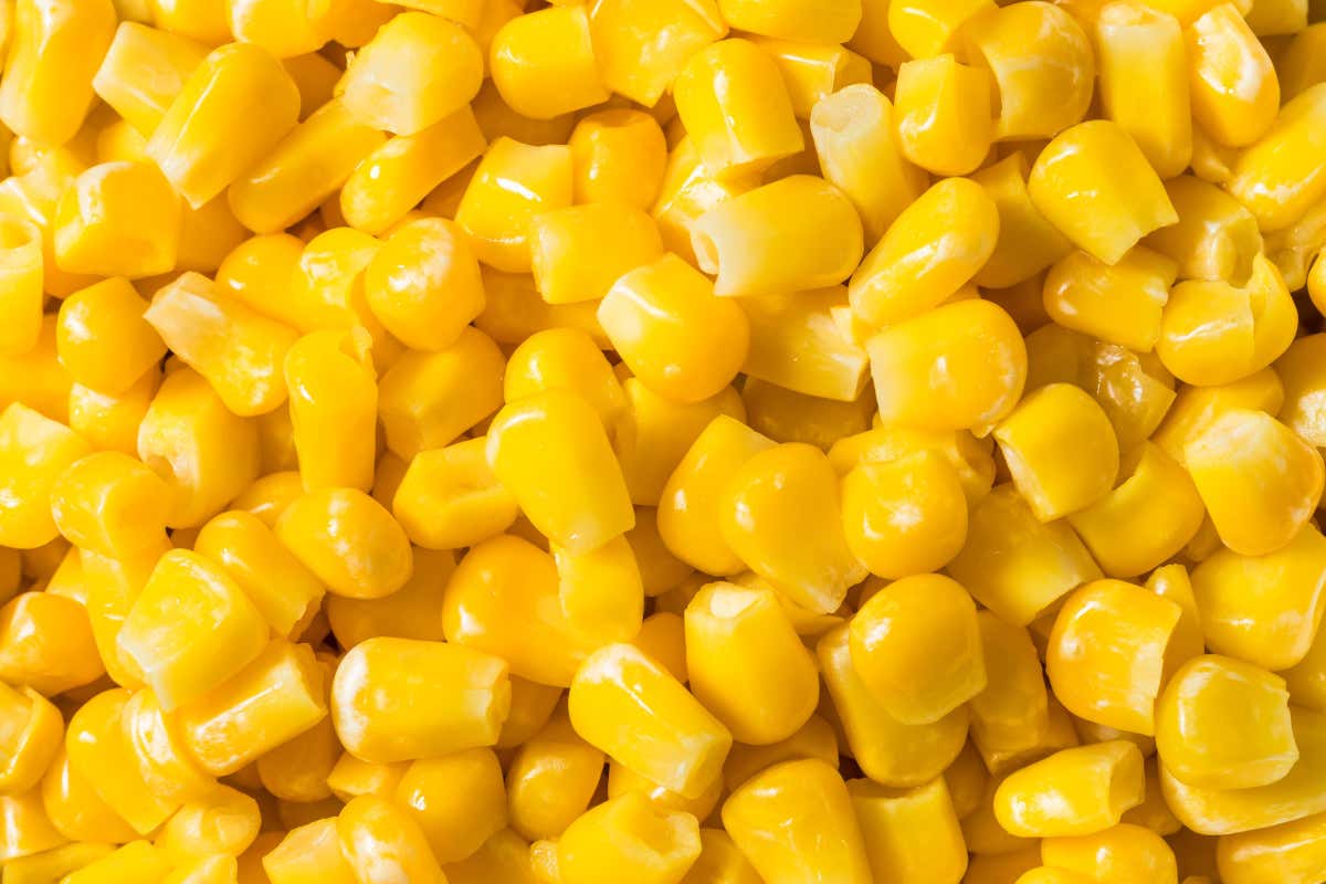 Mais dolce: valori nutrizionali e benefici di un cereale speciale