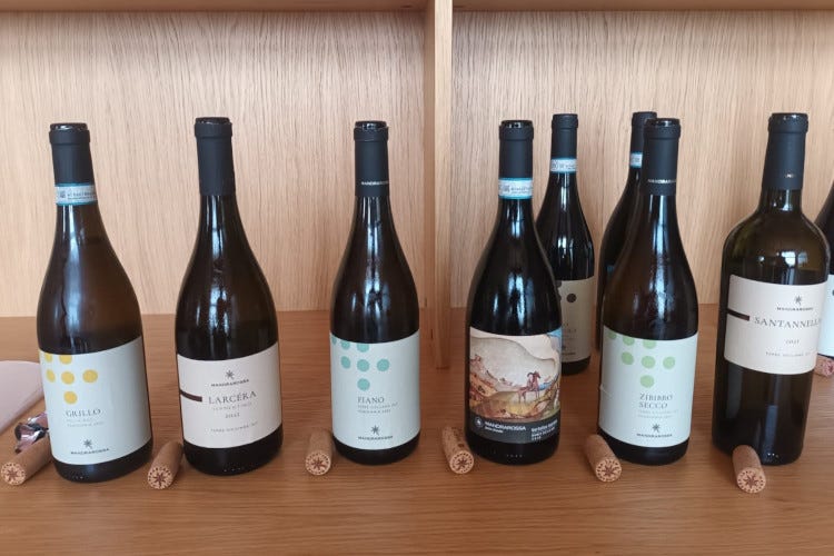 Una selezione di vini della Cantina Mandrarossa Biodiversità e alto profilo, le parole d’ordine dei vini Mandrarossa