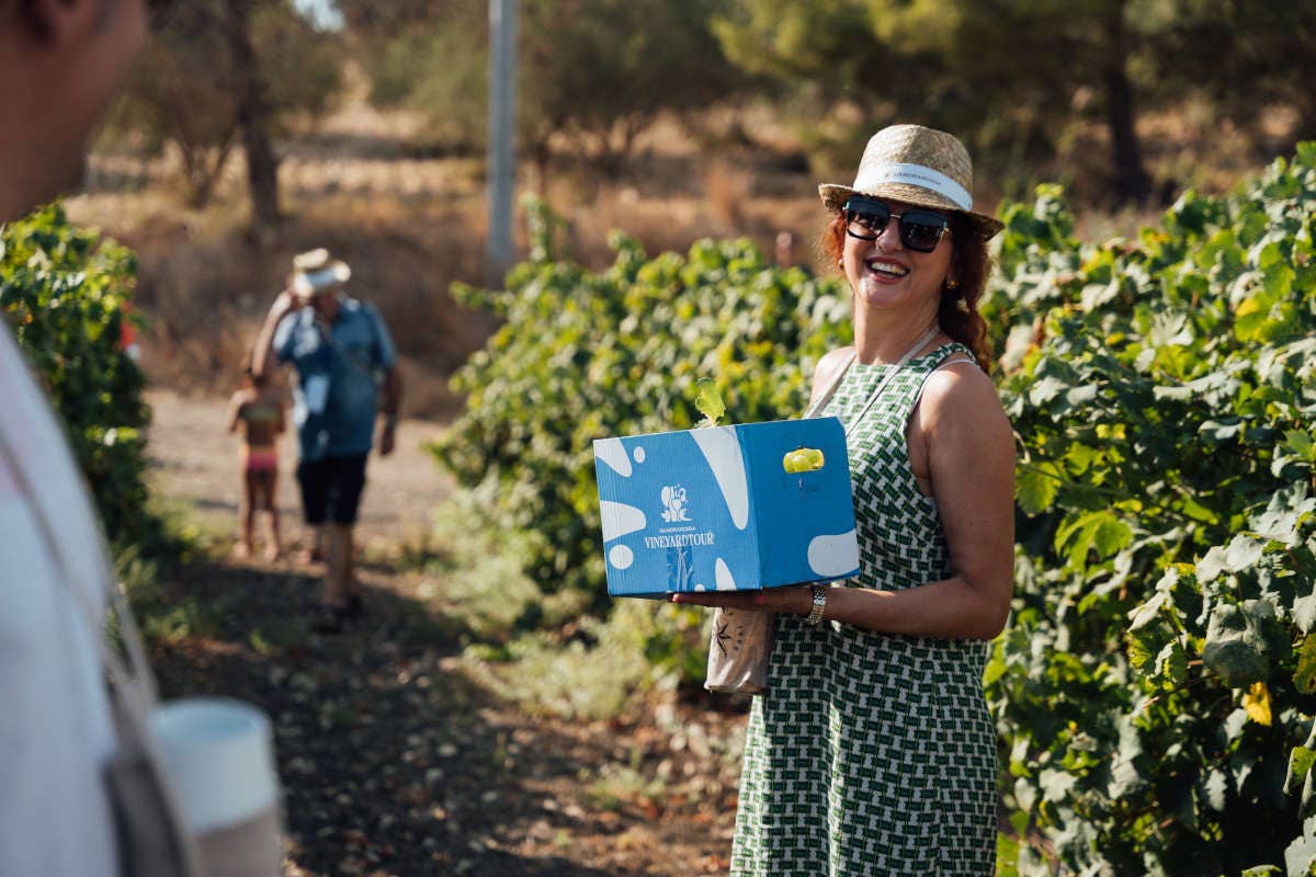 La Sicilia che non ti aspetti nei vini innovativi di Mandrarossa