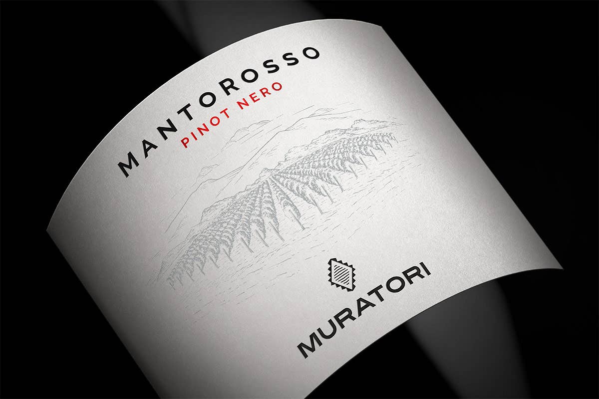 Muratori: dopo le bollicine, ecco l'eleganza dei fermi di Chardonnay e Pinot nero