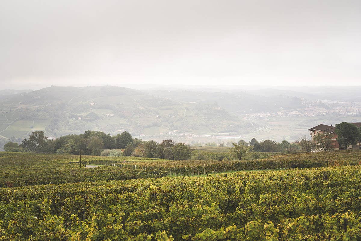 Tutta la passione di Marco Capra nei suoi vini... di un'altra Langa