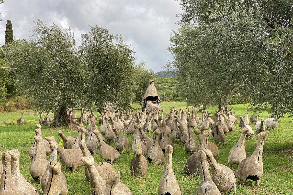 Il giardino delle oche Maremma Toscana, perla italiana con vocazione al turismo sostenibile