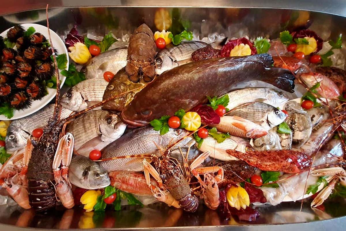 Il ristorante a Gallipoli che sceglie il pesce quando è ancora in mare