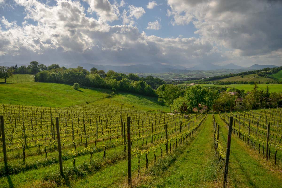 Borghi e miele a Macerata: sei tappe per scoprire l'apicoltura marchigiana Borghi e miele a Macerata: sei tappe per scoprire l'apicoltura marchigiana