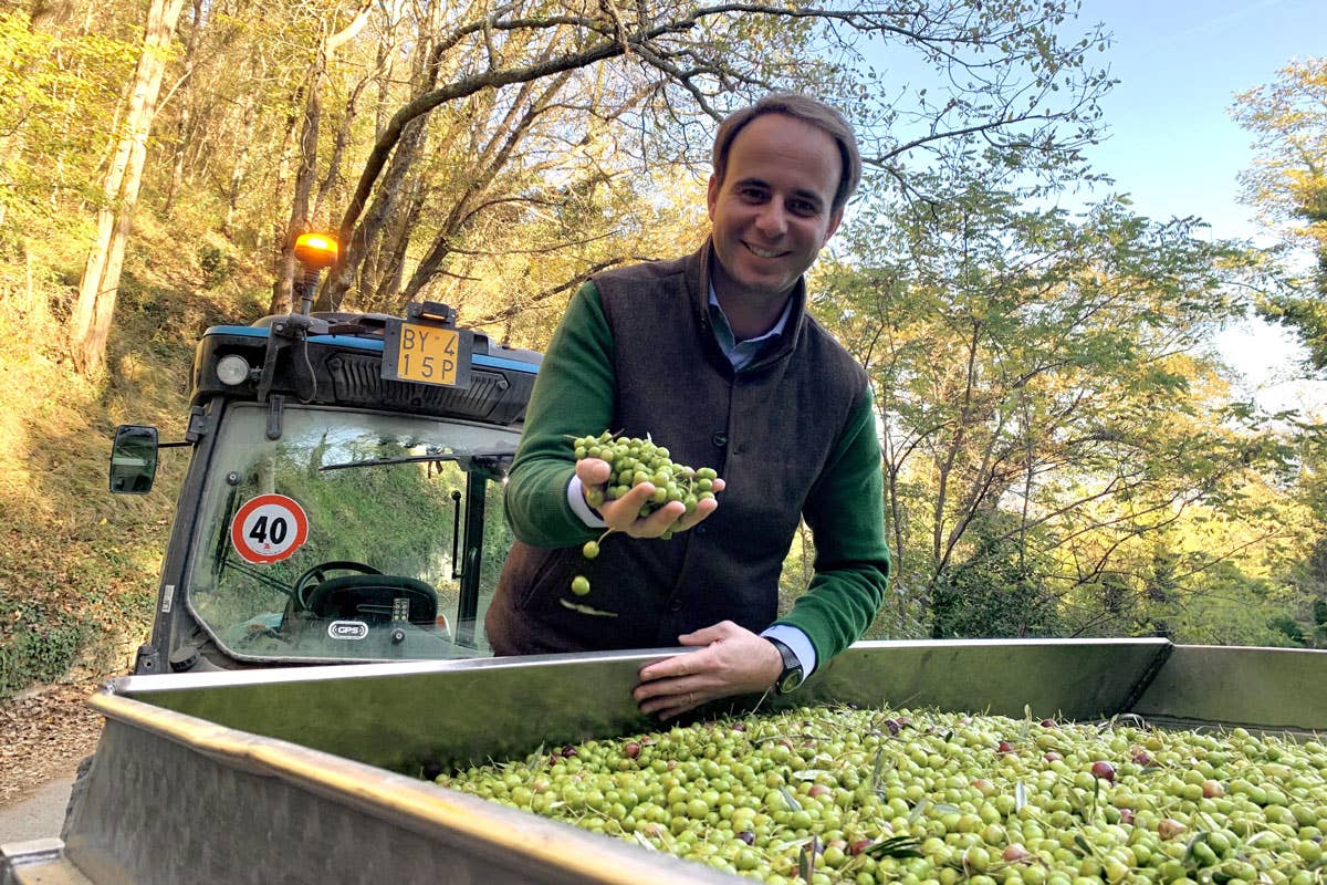 Frescobaldi: olio Laudemio 2024 e pasta Tirrena, il territorio oltre il vino