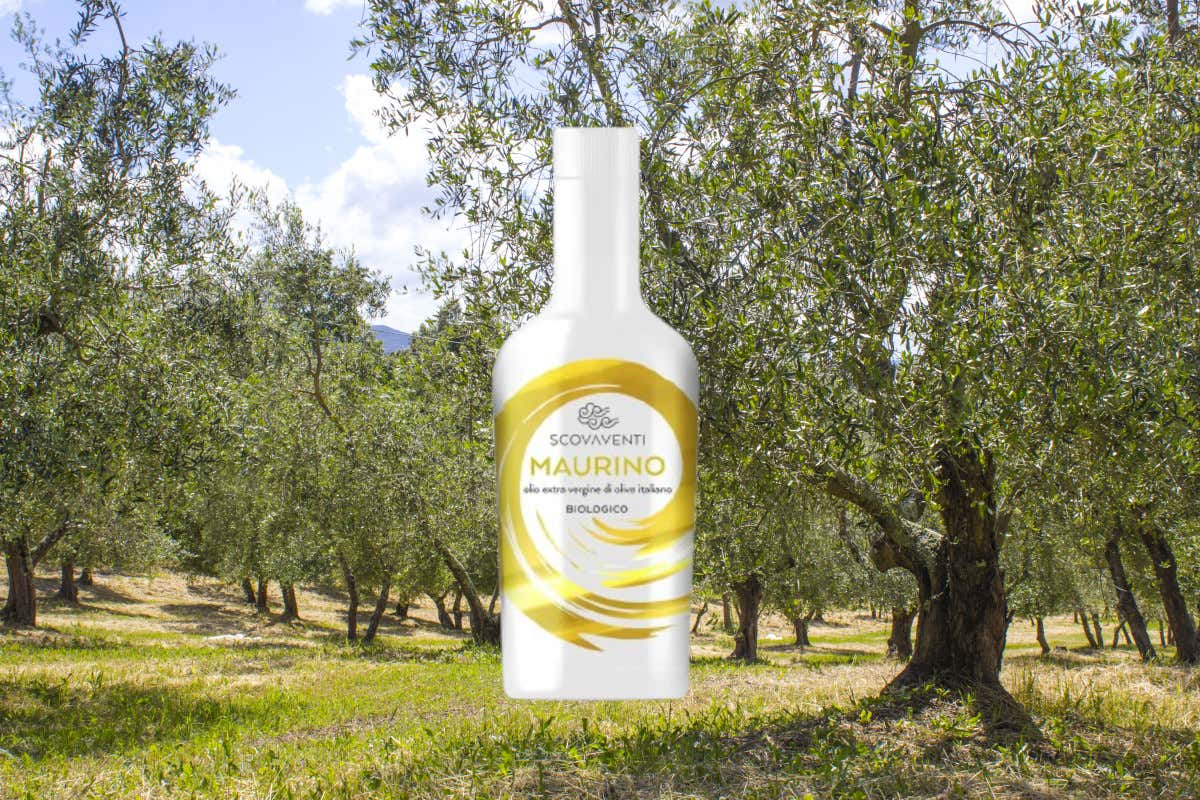 Perché l'olio evo toscano è così ricercato nonostante la bassa produzione?