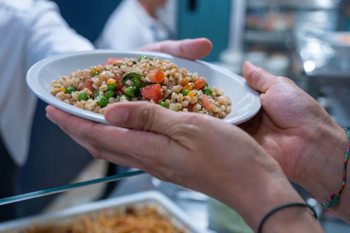 Le mense universitarie che “inquinano” meno col cibo? Pisa in testa, poi Siena