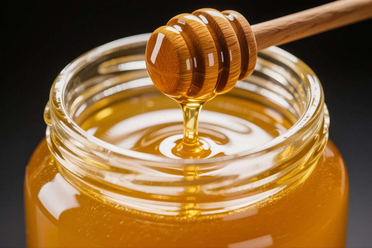 Verona, sequestro di falso miele “bio”: bloccate 2,8 tonnellate