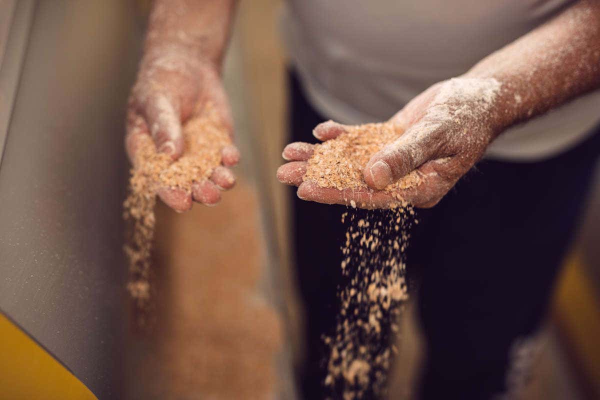 Molino Paolo Mariani: simbiosi unica tra territorio, grano e uomo Molino Paolo Mariani: simbiosi unica tra territorio, grano e uomo