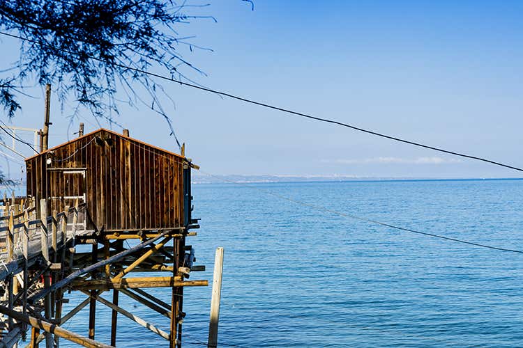 Nasce il distretto della pesca Mare e colline del Molise Dal mare alle colline del Molise Nasce il distretto della pesca Nasce il distretto della pesca Mare e colline del Molise Dal mare alle colline del Molise Nasce il distretto della pesca