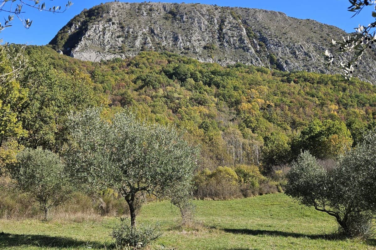 L'autentica cucina molisana di Stefano Rufo alla Locanda Belvedere