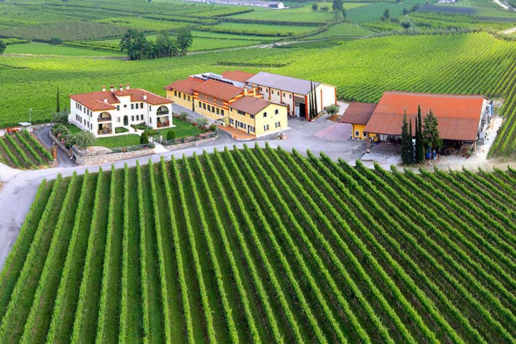 C&agrave; del Magro Custoza Superiore Il campione di Monte del Fr&agrave;