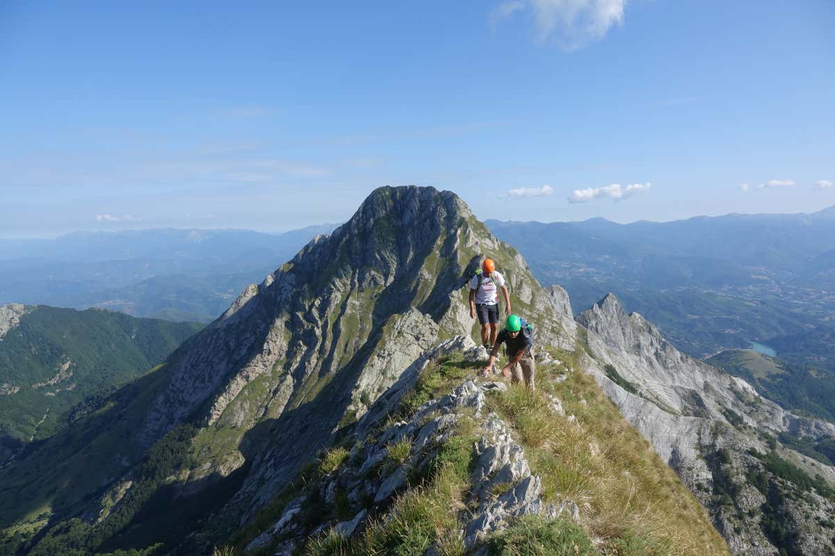 Borghi e miele a Macerata: sei tappe per scoprire l'apicoltura marchigiana Borghi e miele a Macerata: sei tappe per scoprire l'apicoltura marchigiana