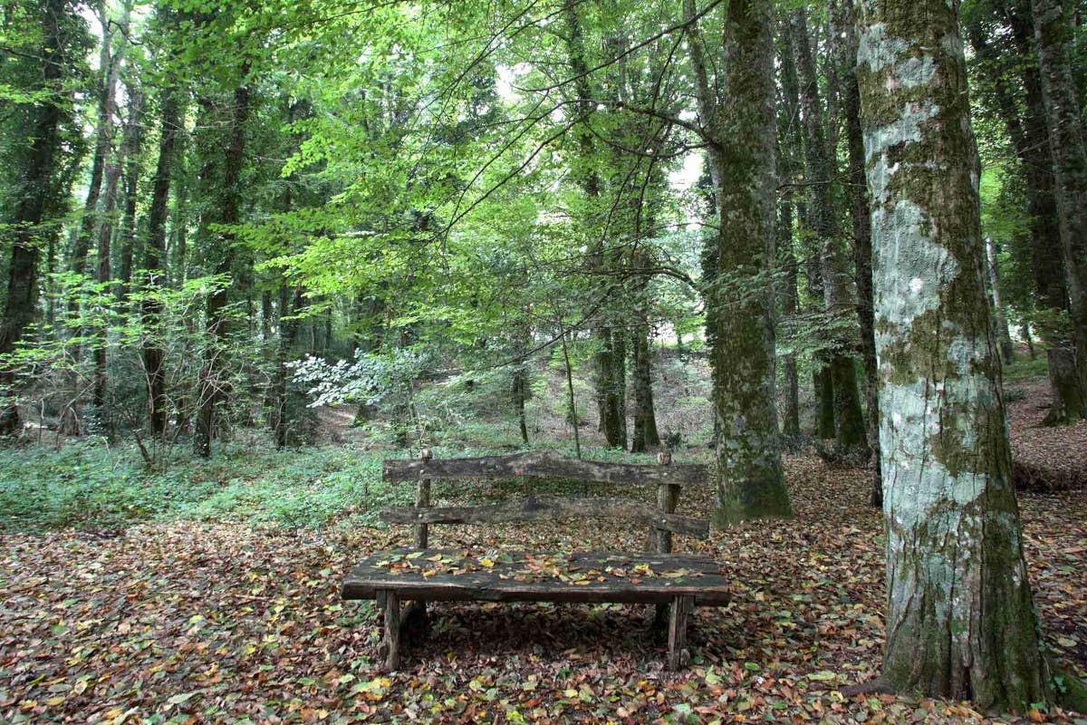 Monte Sant'Angelo: viaggio tra storia e natura nel cuore della Puglia