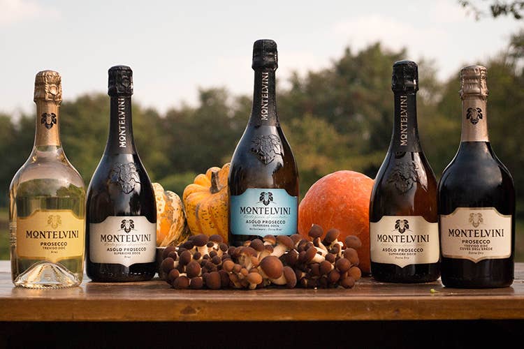 Montelvini prosecco. Монтельвини Азоло. Монтельвини Просекко 0.2. Просекко Монтельвини Азоло. Азоло виноделие.