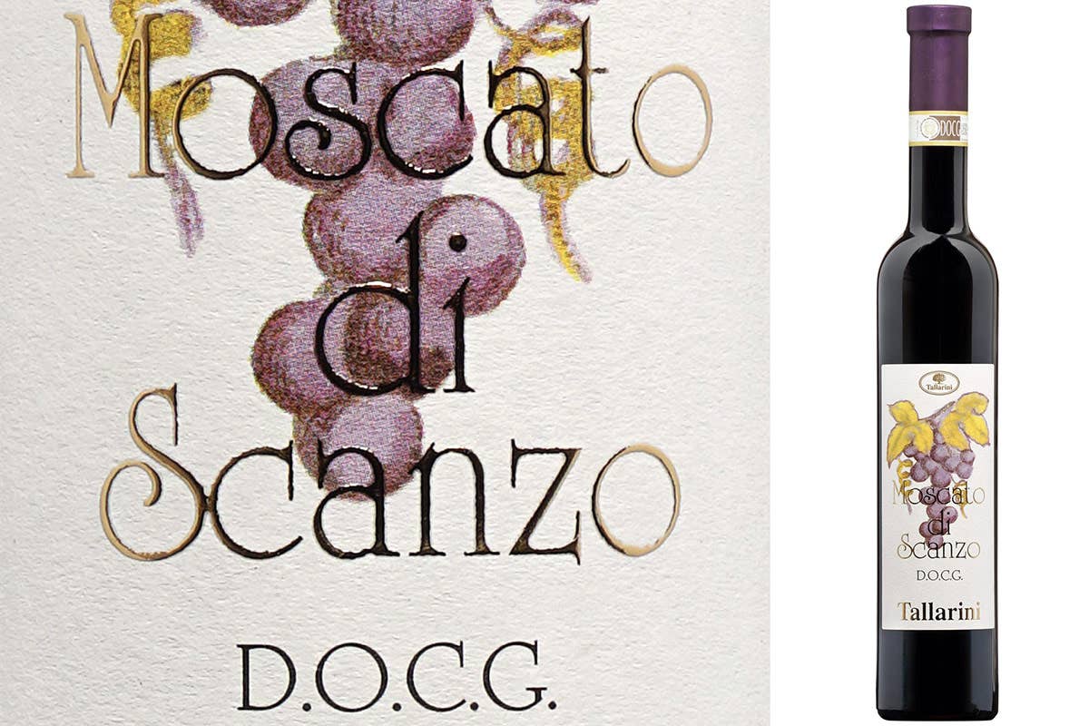 Da una piccola vigna ai grandi vini: Tallarini, una storia di successo