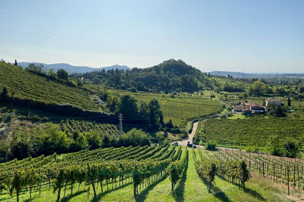 Le colline di Scanzorosciate Moscato di Scanzo, un settembre intenso per promuovere vino e territorio