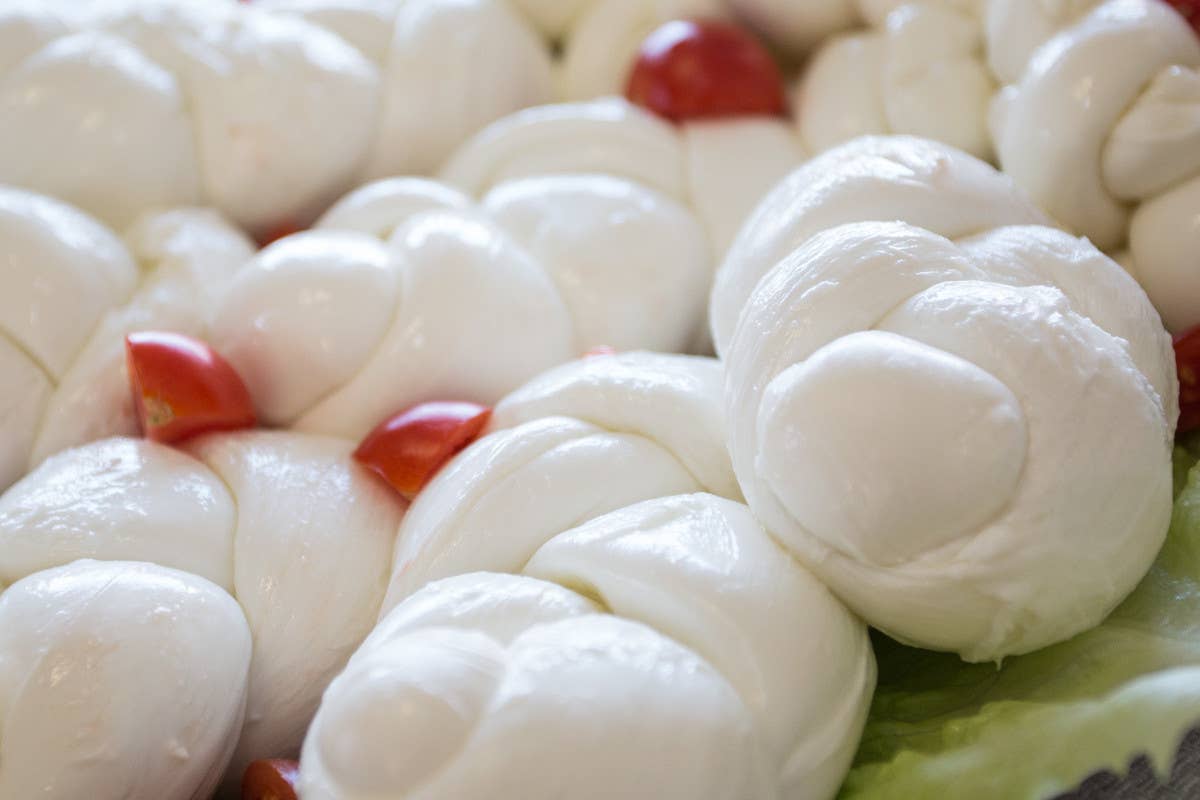 Mozzarella tradizionale Stg: dall'Ue più aiuti per l'espansione e la tutela