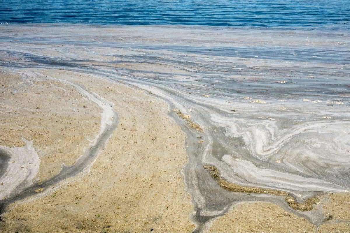 Mucillagine, l'incubo che sta rovinando le vacanze (e il turismo) in Romagna