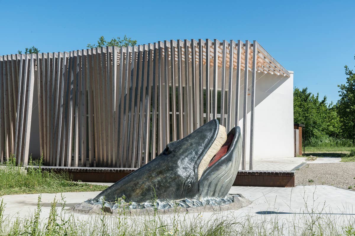 Il Museo del Mare Antico dell’Emilia Da abbandonato a meta esclusiva di viaggio: scopriamo i luoghi rinati d'Italia