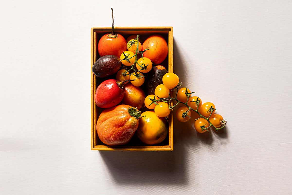 Il menu che fa del pomodoro il protagonista assoluto in 6 portate da non perdere