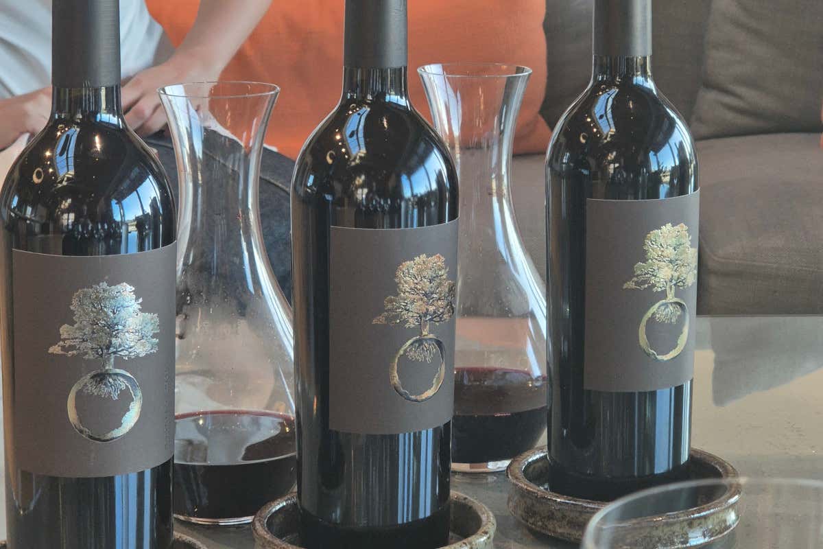 Viaggio in Napa Valley e Sonoma County: le cantine da non perdere Viaggio in Napa Valley e Sonoma County: le cantine da non perdere