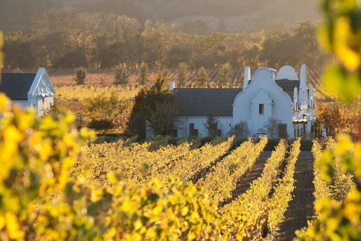 Viaggio in Napa Valley e Sonoma County: le cantine da non perdere Viaggio in Napa Valley e Sonoma County: le cantine da non perdere