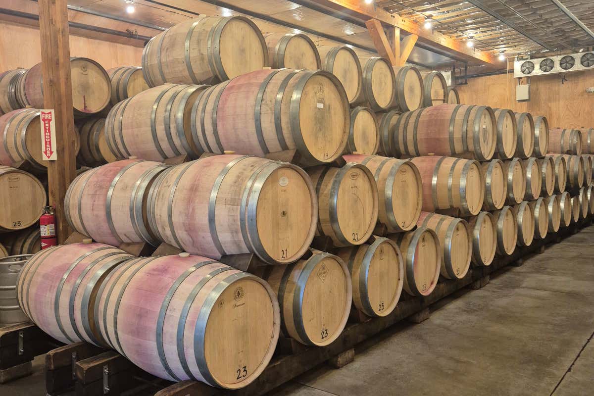 Viaggio in Napa Valley e Sonoma County: le cantine da non perdere Viaggio in Napa Valley e Sonoma County: le cantine da non perdere