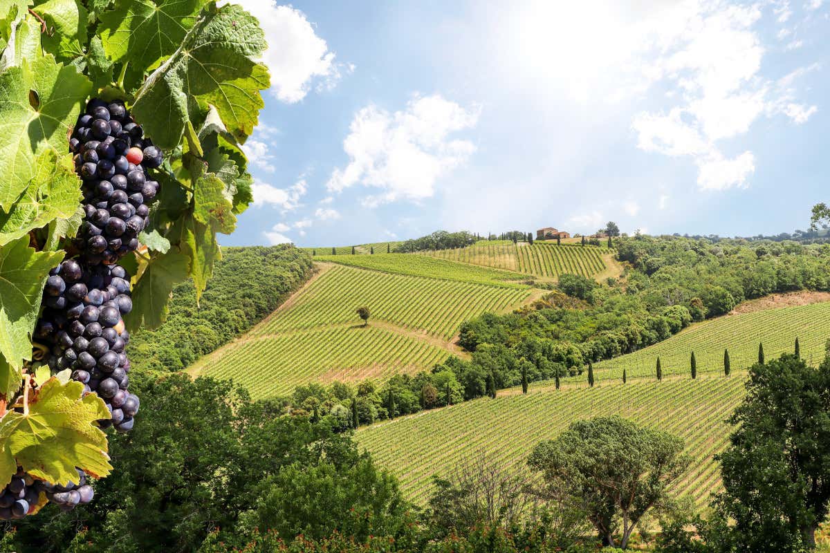 Dormire in Napa Valley: due hotel dove il soggiorno diventa esperienza Dormire in Napa Valley: due hotel dove il soggiorno diventa esperienza