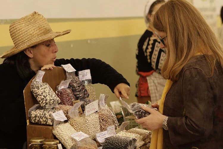 (Naturale, folla di visitatori al salone del vino artigianale) (Naturale, folla di visitatori al salone del vino artigianale)
