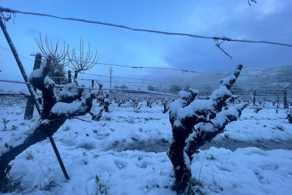 L’arrivo della neve salva i campi dalla siccità