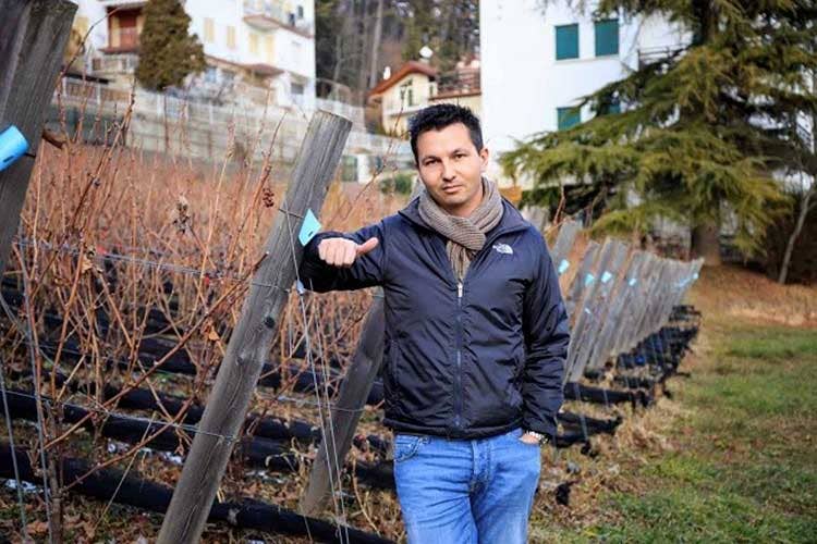 Nicola Biasi nel vigneto di famiglia a Coredo (Tn) Nicola Biasi vince la scommessa del biologico con il Vin de la Neu