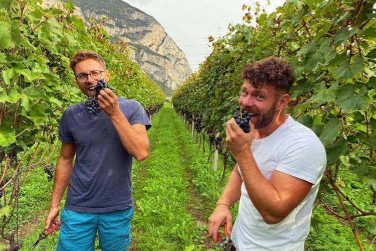 Nicolò Panizza e Andrea Nardin  Vini e vignaioli d'Italia, San Leonardo e Lagrein Taber superstar