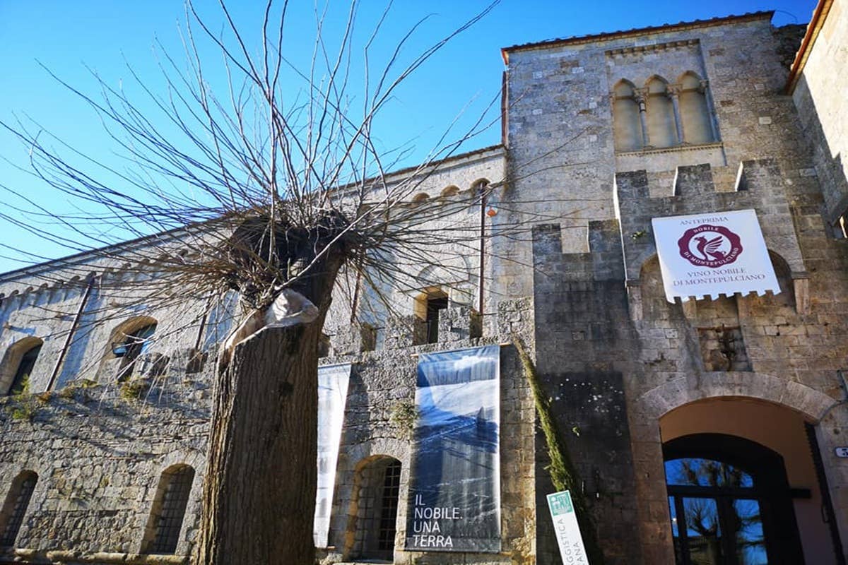 Il Nobile di Montepulciano vale 1 miliardo: +98,8% di bottiglie in 30 anni