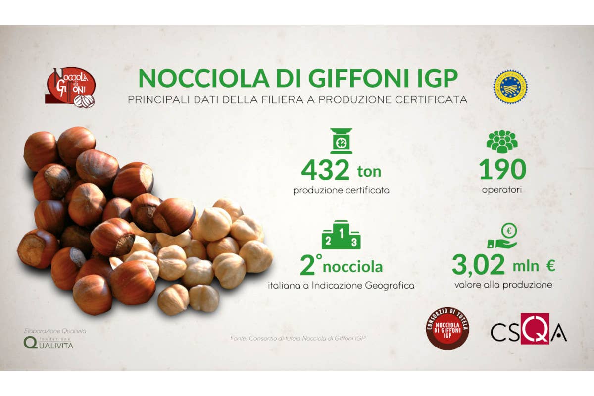 I numeri della Nocciola di Giffoni Igp Nuovo sistema dei controlli per la Nocciola di Giffoni Igp