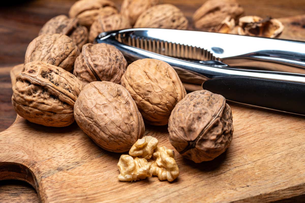 Cosa sapere sulle noci: storia, proprietà e come usarle in cucina Cosa sapere sulle noci: storia, proprietà e come usarle in cucina