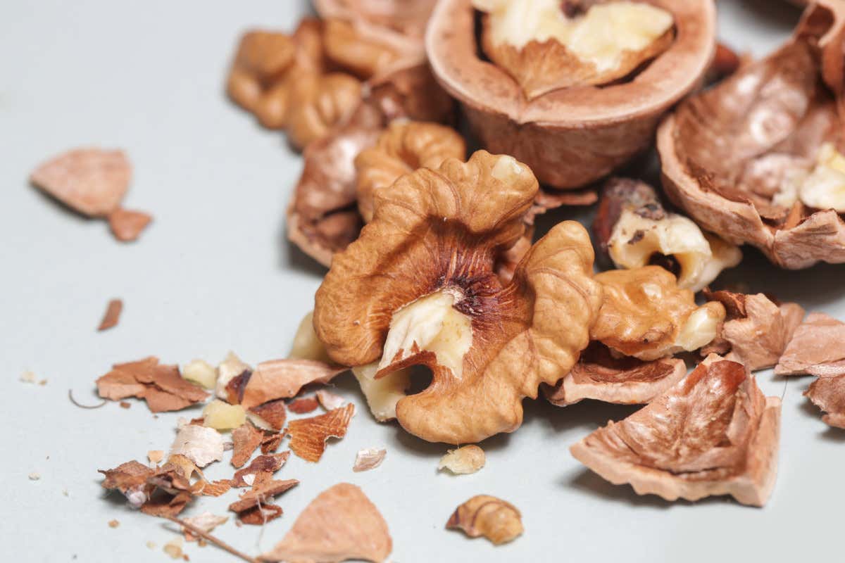 Cosa sapere sulle noci: storia, proprietà e come usarle in cucina Cosa sapere sulle noci: storia, proprietà e come usarle in cucina