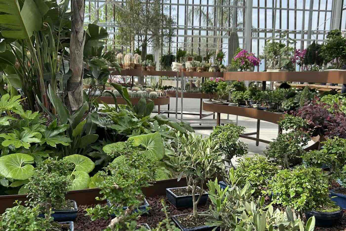 Naturart Village: uno showroom botanico con ristoranti tipici e orto didattico Naturart Village: uno showroom botanico con ristoranti tipici e orto didattico